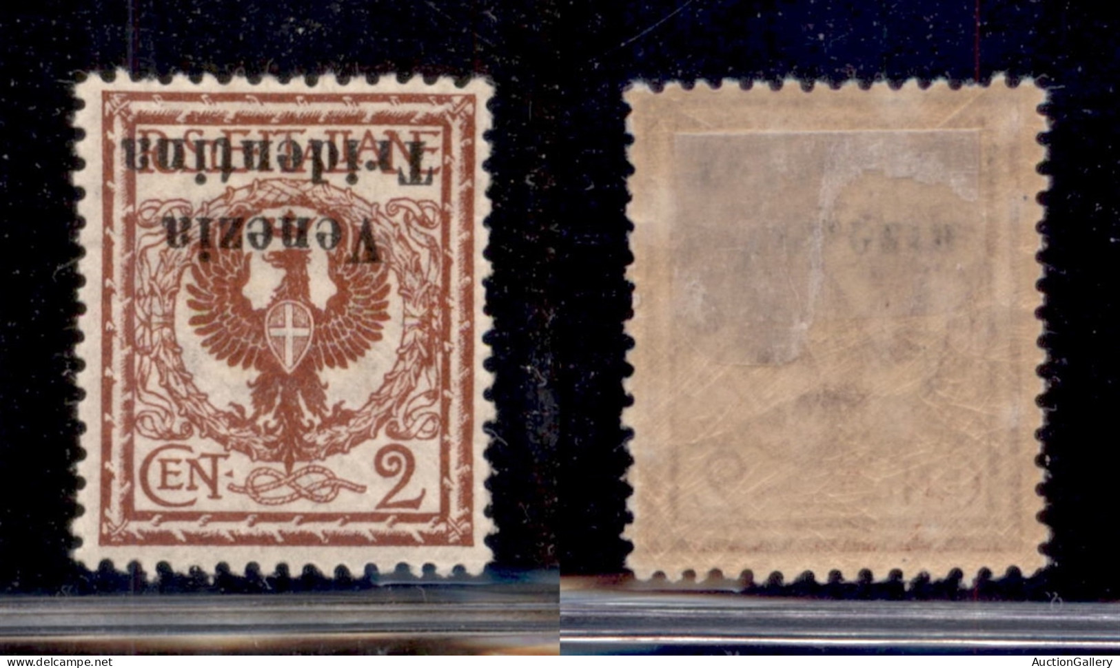 Occupazioni I Guerra Mondiale - Trentino-Alto Adige - 1918 - 2 Cent (20aa) - Soprastampa Capovolta - Gomma Originale (30 - Other & Unclassified