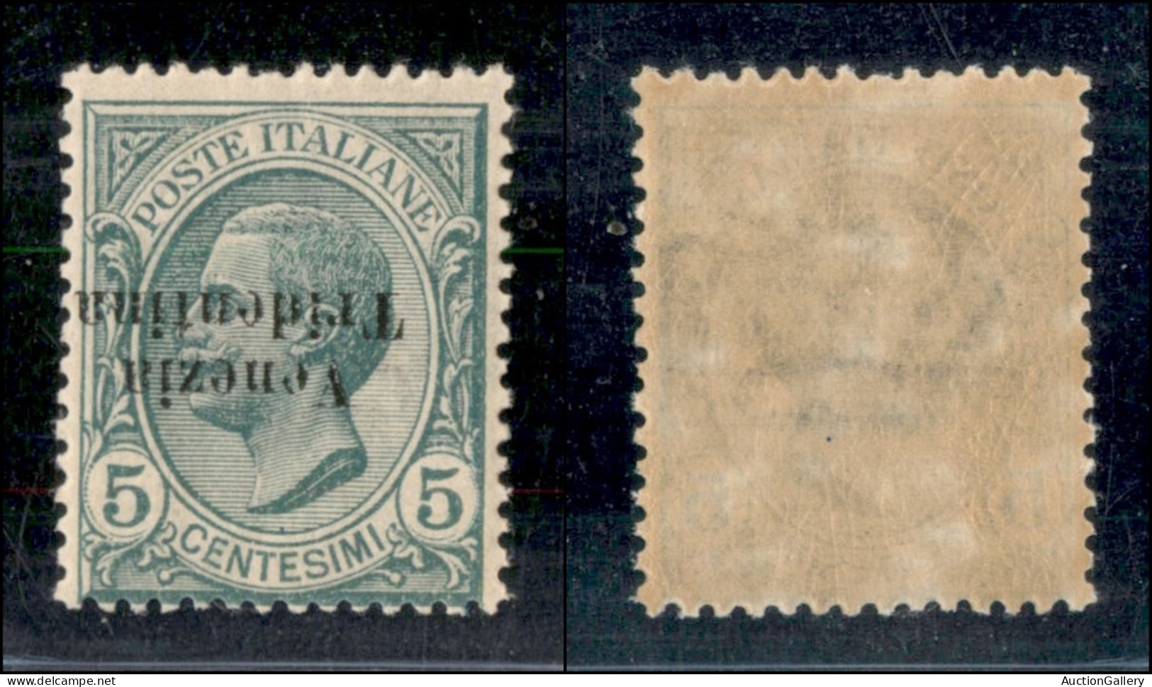 Occupazioni I Guerra Mondiale - Trentino-Alto Adige - 1918 - 5 Cent Leoni (21 Aa) - Soprastampa Capovolta - Gomma Integr - Otros & Sin Clasificación