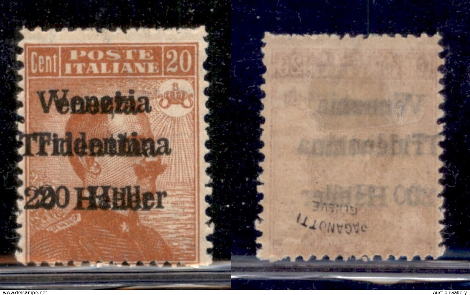 Occupazioni I Guerra Mondiale - Trentino-Alto Adige - 1918 - 20 Heller Su 20 Cent Michetti (30b) - Doppia Soprastampa Di - Autres & Non Classés