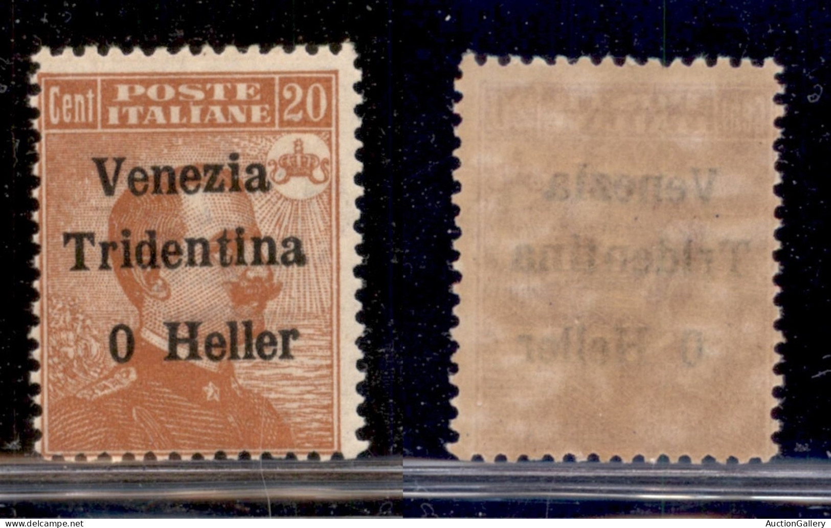 Occupazioni I Guerra Mondiale - Trentino-Alto Adige - 1918 - 20 Heller Su 20 Cent Michetti (30c) - Senza 2 - Gomma Integ - Autres & Non Classés
