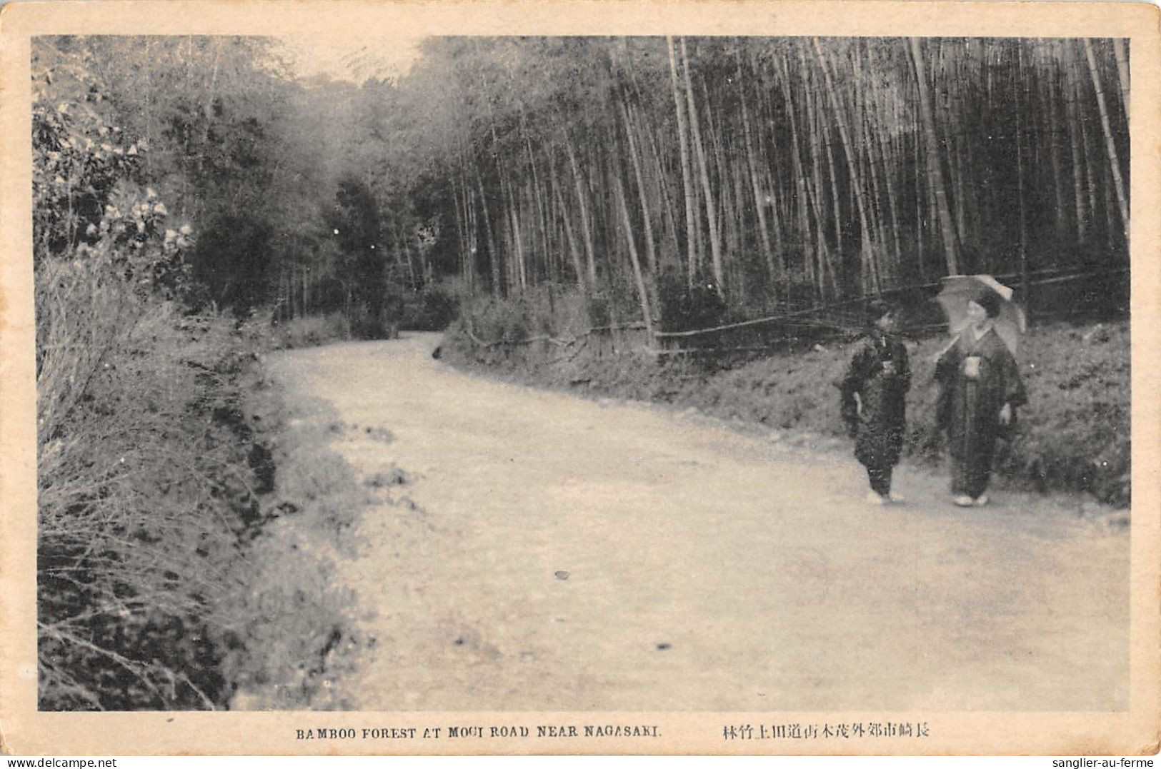 CPA JAPON / BAMBOO FOREST AT MOGI ROAD NEAR NAGASAKI - Other & Unclassified