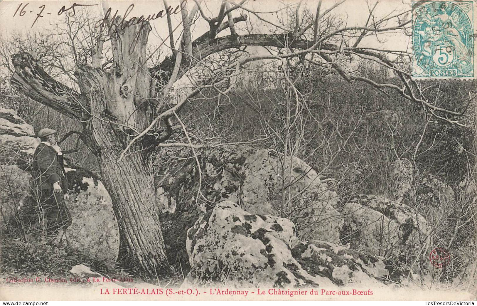 FRANCE - La Ferte Alais - L'Ardennay - Le Châtaignier Du Parc Aux Bœufs - Carte Postale Ancienne - La Ferte Alais