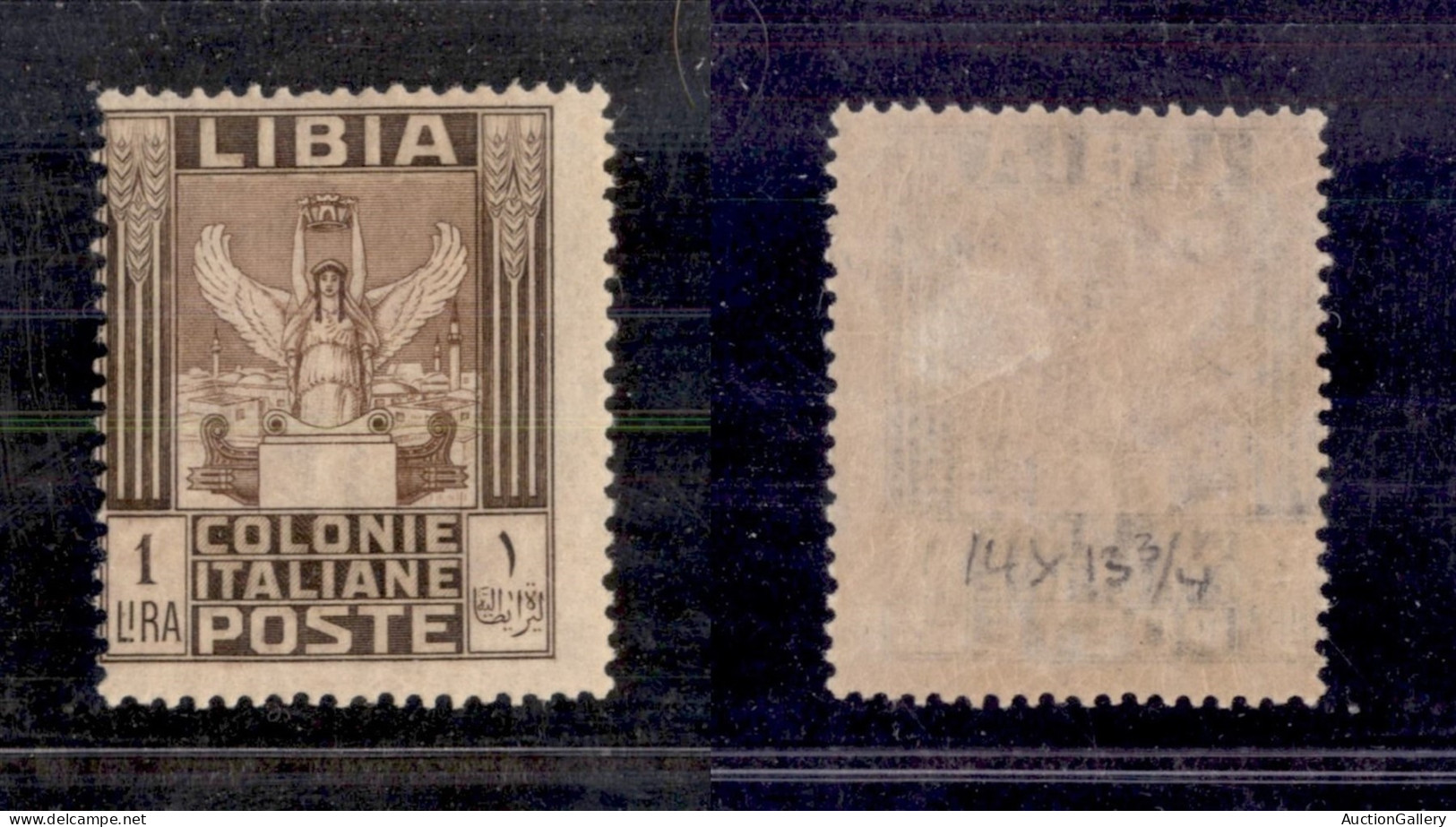 Colonie - Libia - 1921 - 1 Lira Pittorica (30) - Gomma Originale (160) - Otros & Sin Clasificación