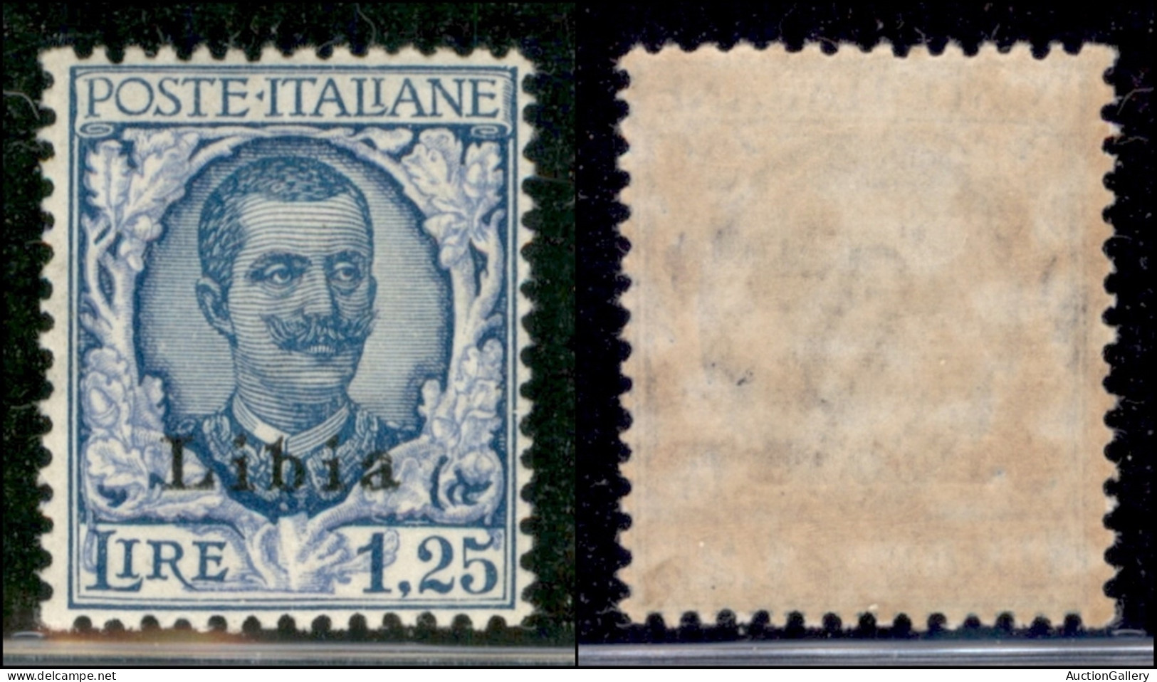Colonie - Libia - 1929 - 1.25 Lire Floreale (79) - Gomma Originale - Ottimamente Centrato (200) - Otros & Sin Clasificación