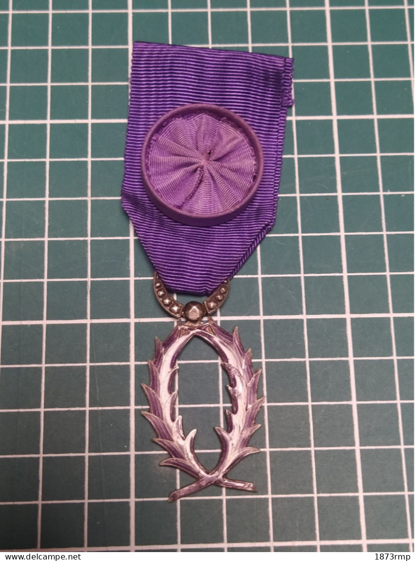 BELLE MÉDAILLE EMAILLEE OFFICIER DES PALMES ACADEMIQUES - Frankrijk