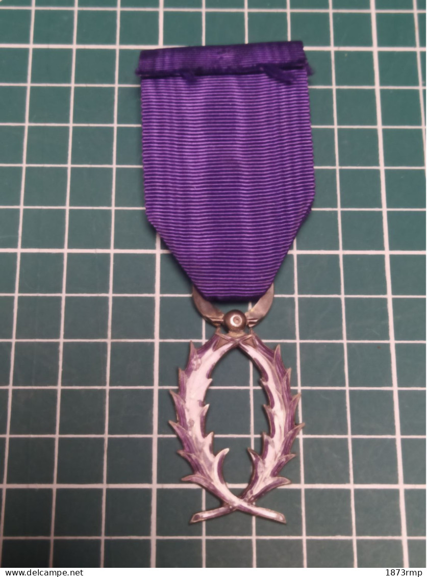 BELLE MÉDAILLE EMAILLEE OFFICIER DES PALMES ACADEMIQUES - Frankrijk