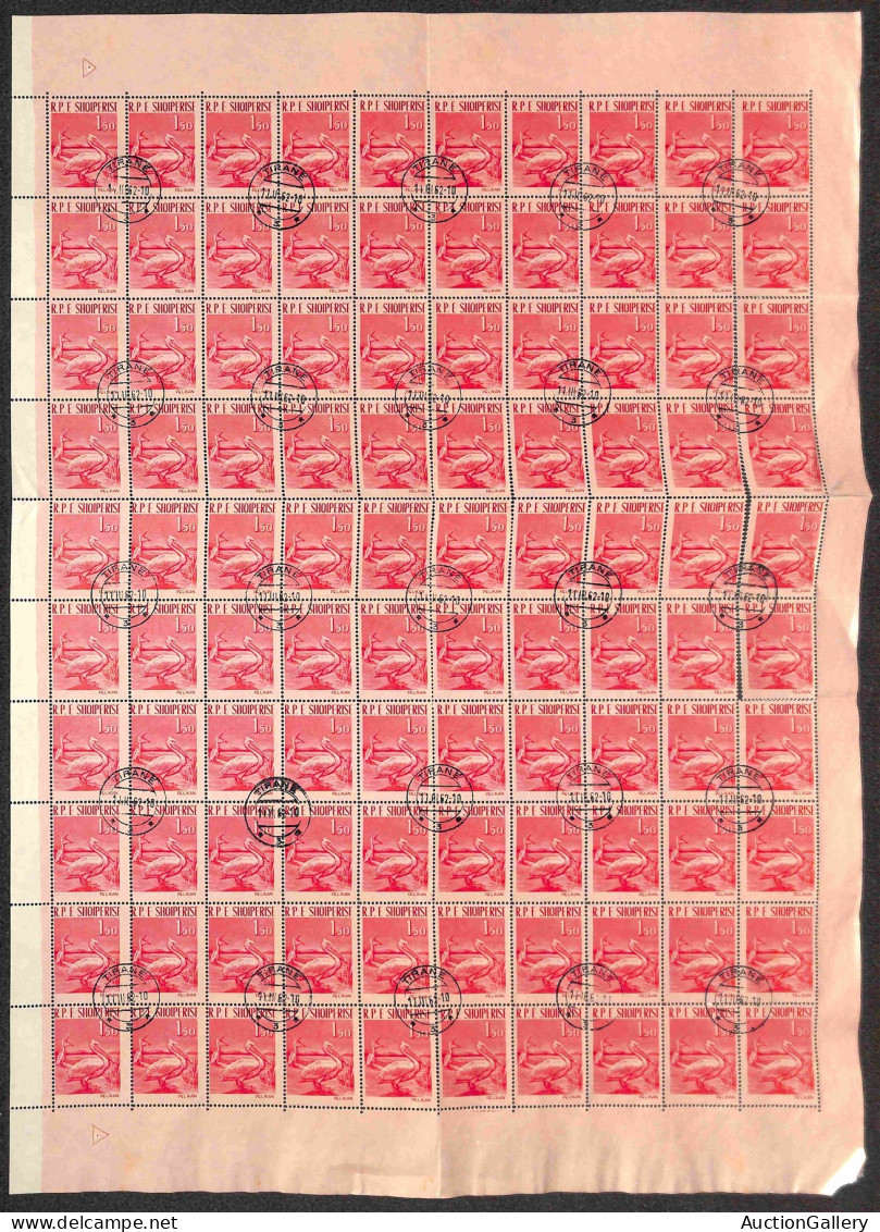 EUROPA - ALBANIA - 1961 - Uccelli (630/632) - Serie Completa In Fogli Di 100 - Usati (750+) - Sonstige & Ohne Zuordnung