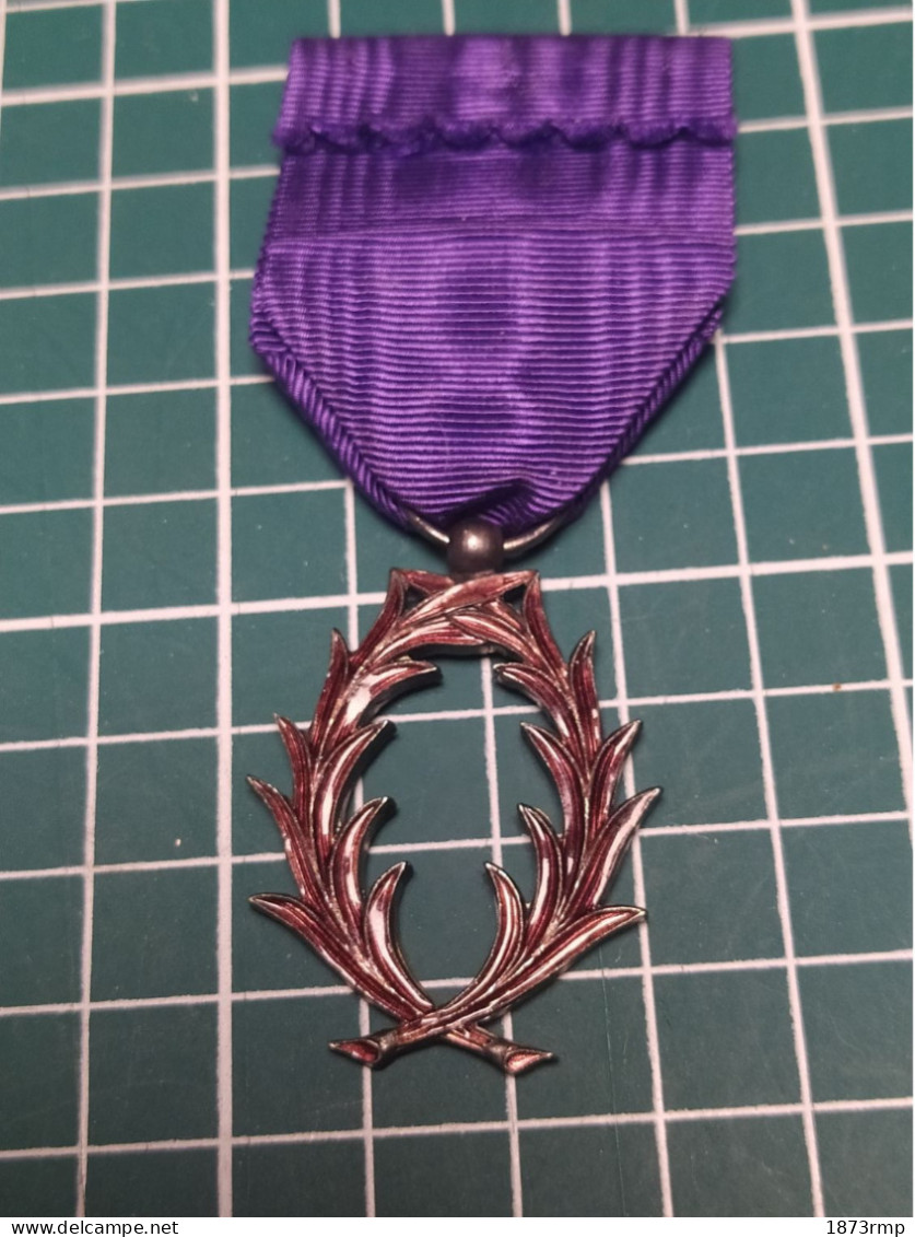 BELLE MÉDAILLE EMAILLEE CHEVALIER DES PALMES ACADEMIQUES - Frankrijk