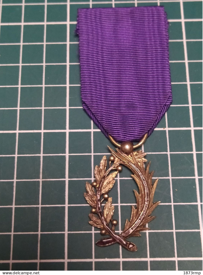 MÉDAILLE CHEVALIER DES PALMES ACADEMIQUES - Francia