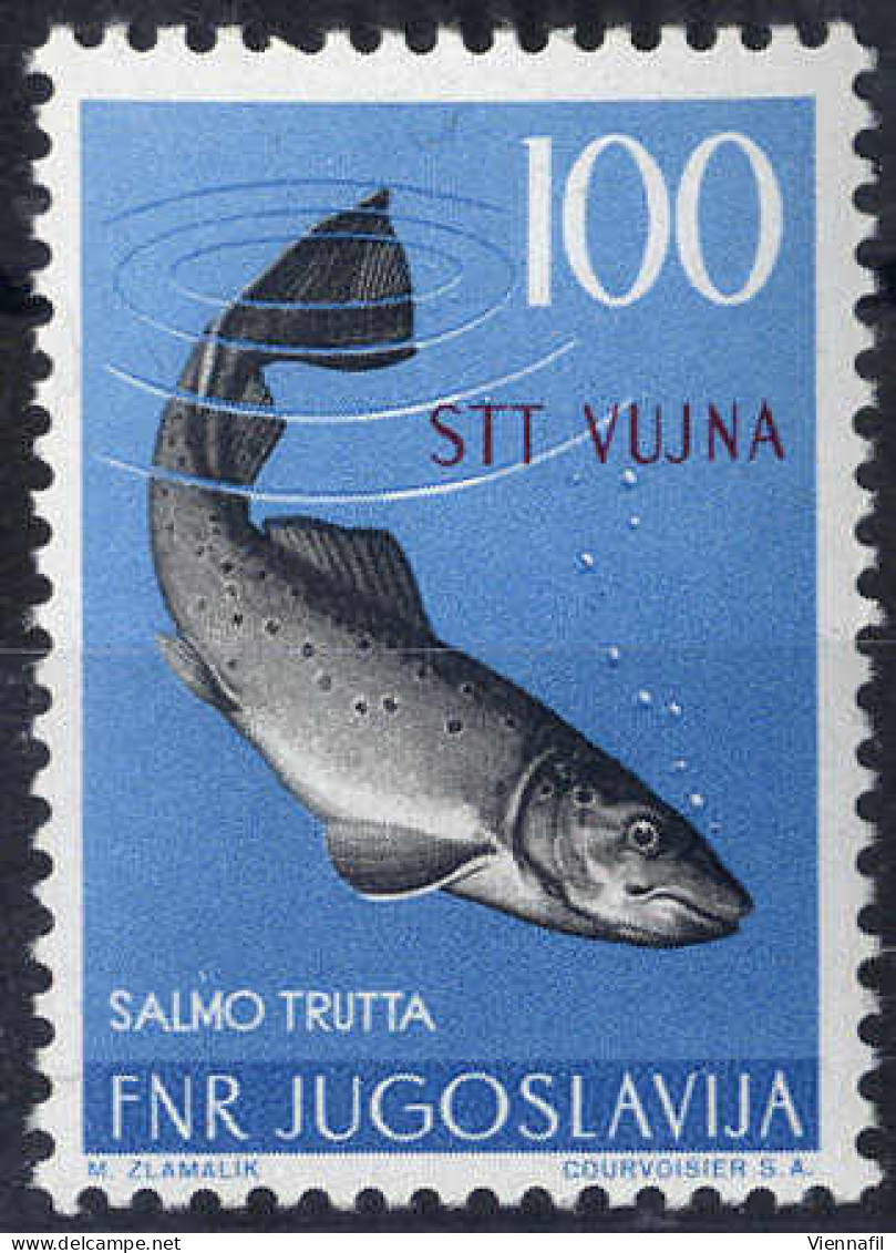 ** 1954, Animali, 12 Val. (S. 101-12 / 180,-) - Otros & Sin Clasificación