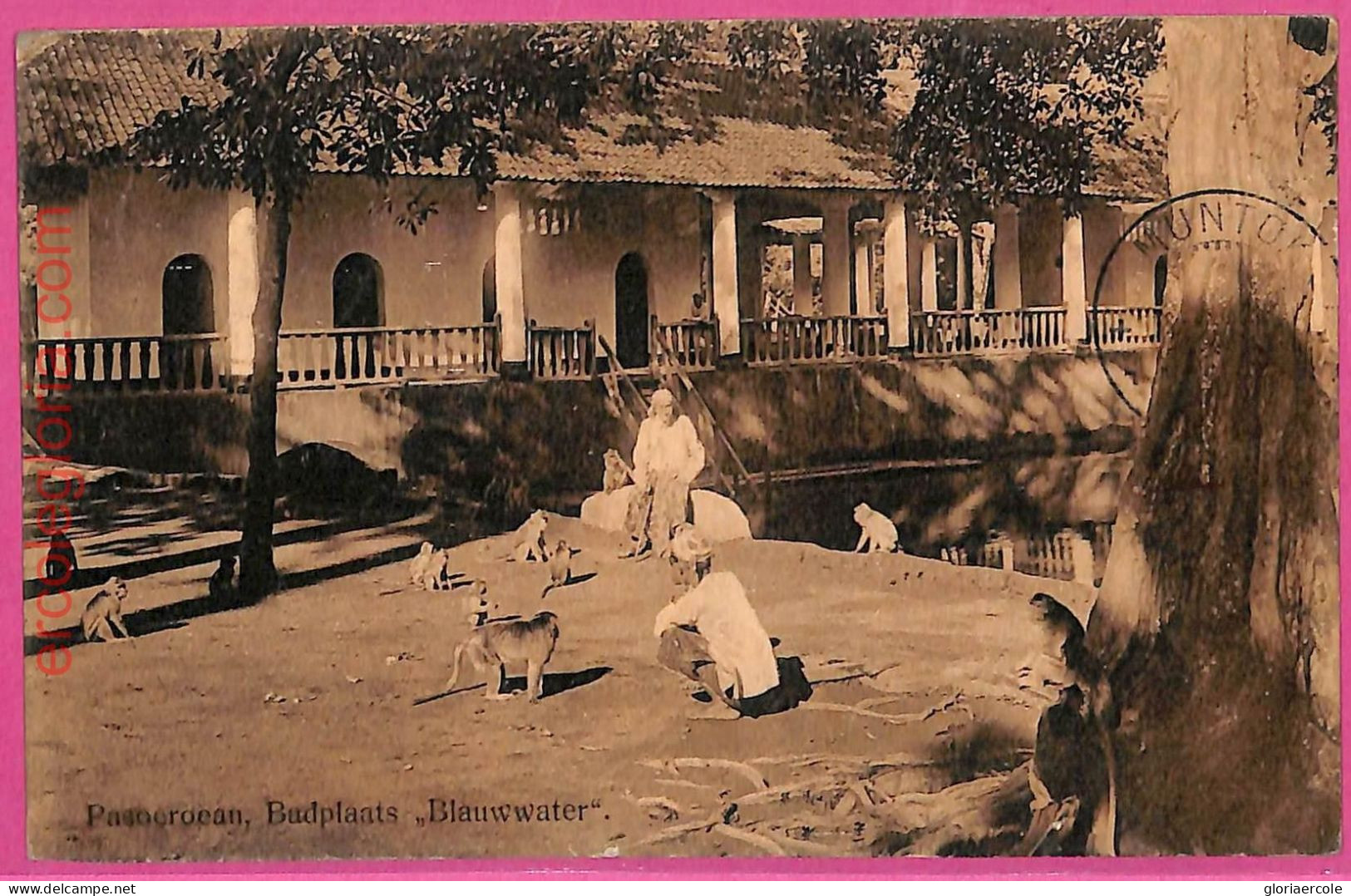 Af8892 - INDONESIA - Vintage POSTCARD - Budplaats "Blauwwater" - 1914 - Indonésie