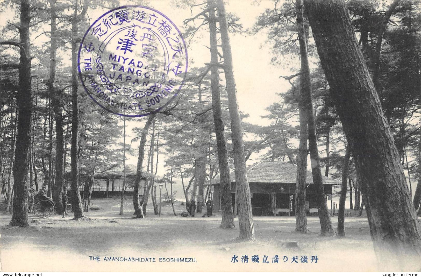 CPA JAPON / THE AMANOHASHIDATE ESOSHIMEZU - Sonstige & Ohne Zuordnung