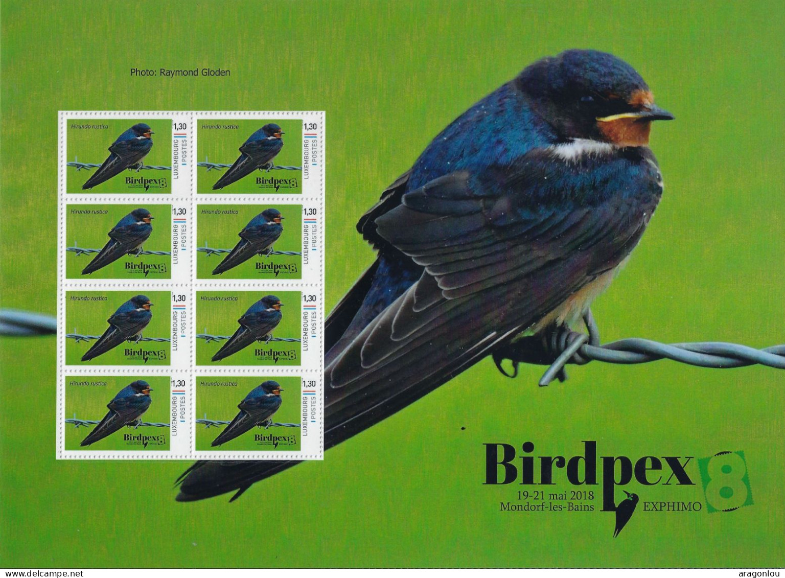 Luxembourg - Luxemburg - Feuille Complète  -  BIRDPEX  -  HIRUNDO RUSTICA   MNH** - Hojas Completas