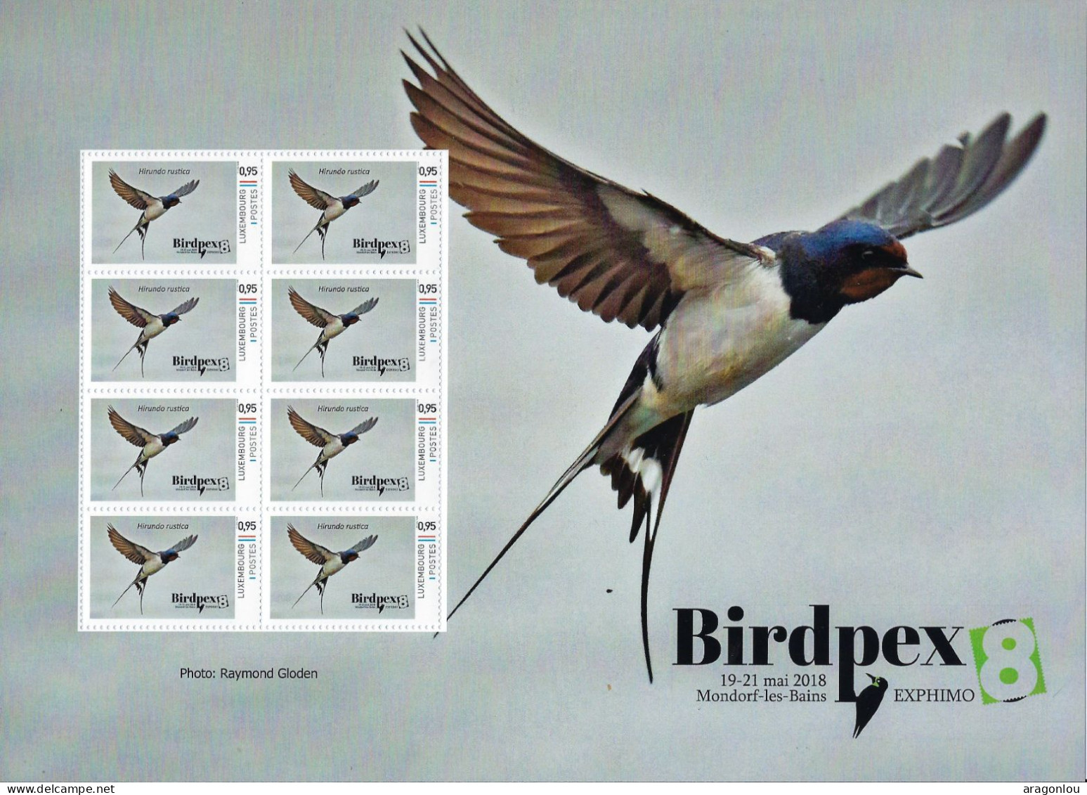 Luxembourg - Luxemburg - Feuille Complète  -  BIRDPEX  -  HIRUNDO RUSTICA   MNH** - Full Sheets