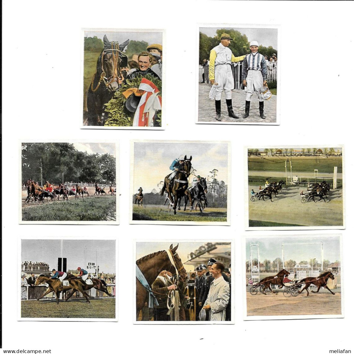 EF19 - IMAGES CIGARETTES BULGARIA - DEUTSCHER SPORT - HIPPISME - Hipismo