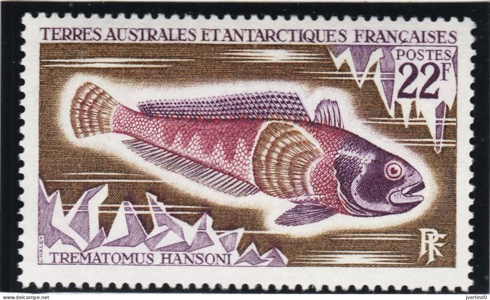 TAAF 1972 Poissons Fishes Yv. 43-45 Neufs MNH - Maximumkarten