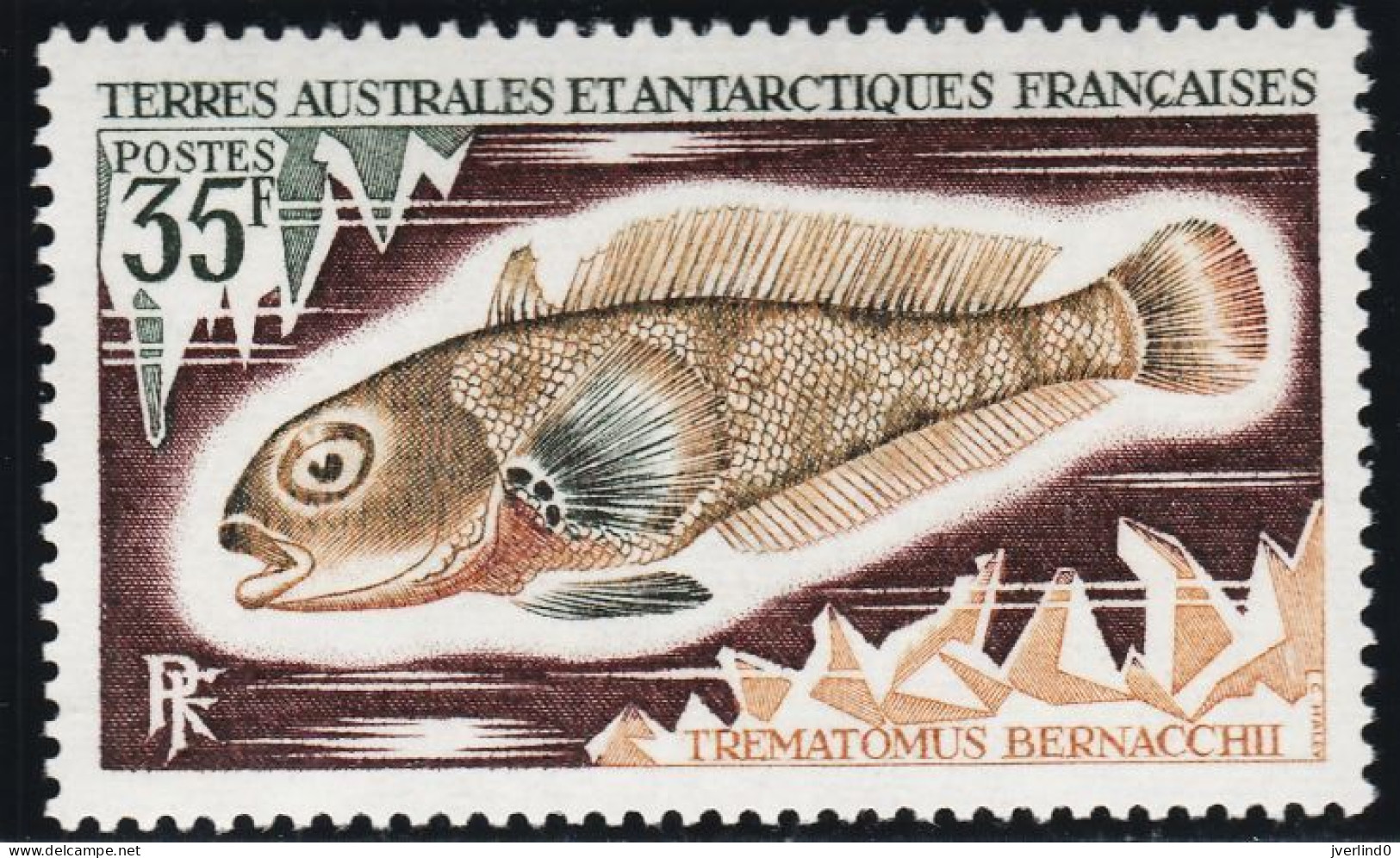 TAAF 1972 Poissons Fishes Yv. 43-45 Neufs MNH - Maximumkarten