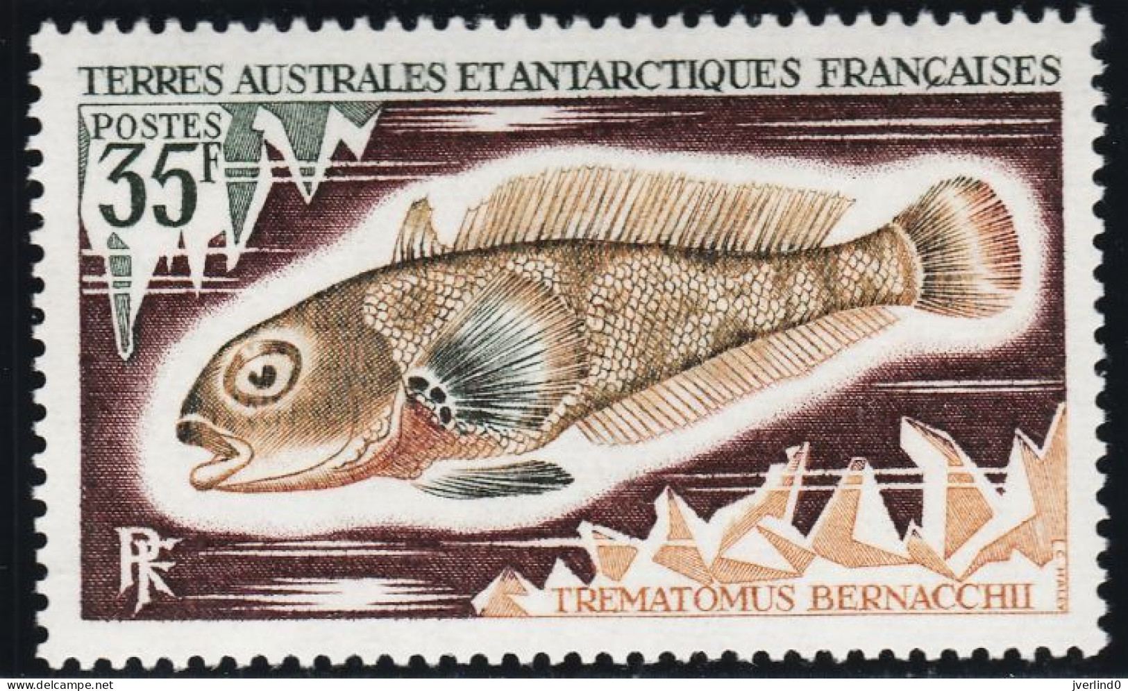 TAAF 1972 Poissons Fishes Yv. 43-45 Neufs MNH - Cartes-maximum