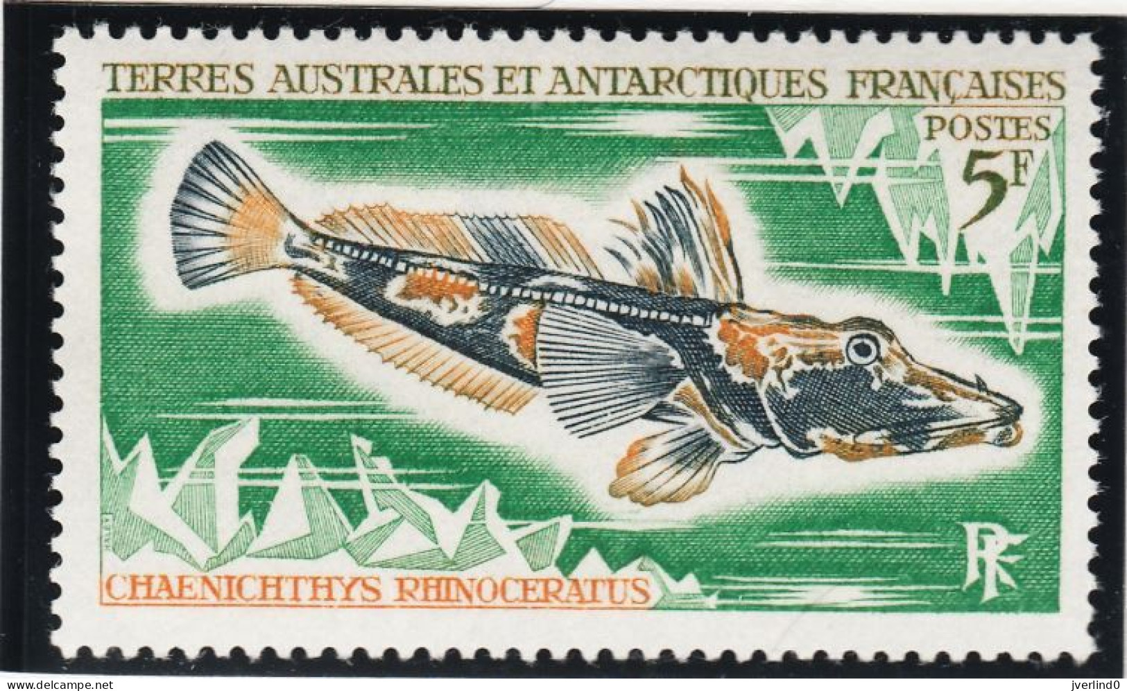 TAAF 1971 Poissons Fishes Yv. 34-38 Neufs MNH - Tarjetas – Máxima