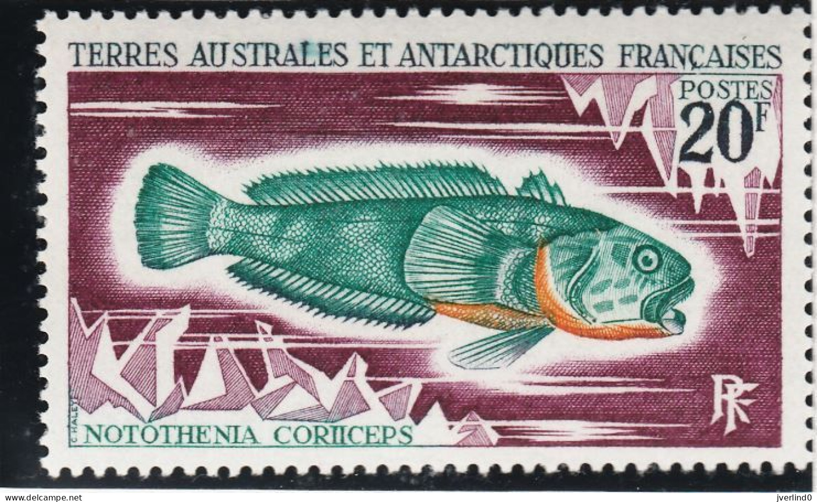 TAAF 1971 Poissons Fishes Yv. 34-38 Neufs MNH - Tarjetas – Máxima