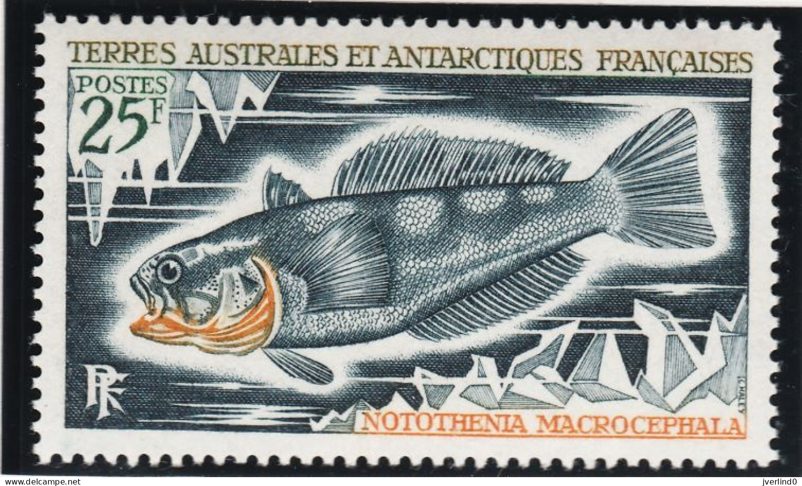 TAAF 1971 Poissons Fishes Yv. 34-38 Neufs MNH - Maximumkaarten