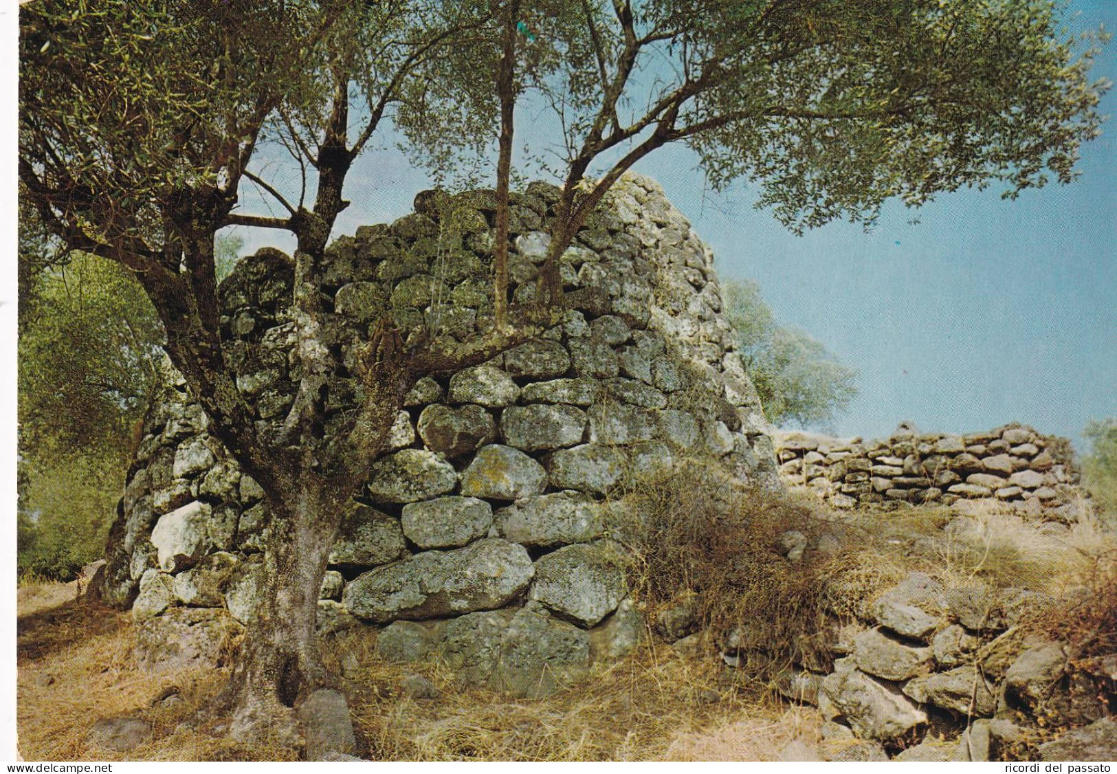 Cartolina - Nuraghe Santa Cristina ( Oristano ) - Oristano