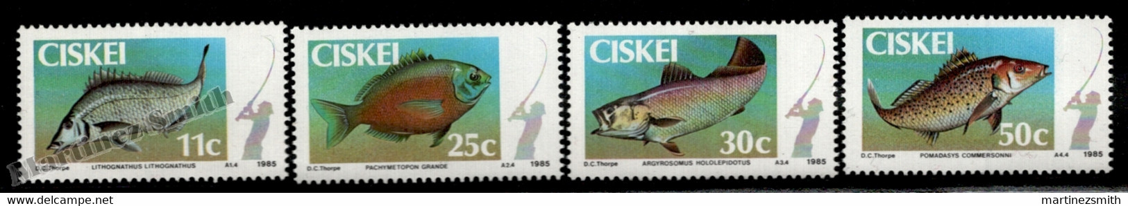 Ciskei 1985 Yvert 70-73, Marine Fauna, Coastal Fish - MNH - Ciskei