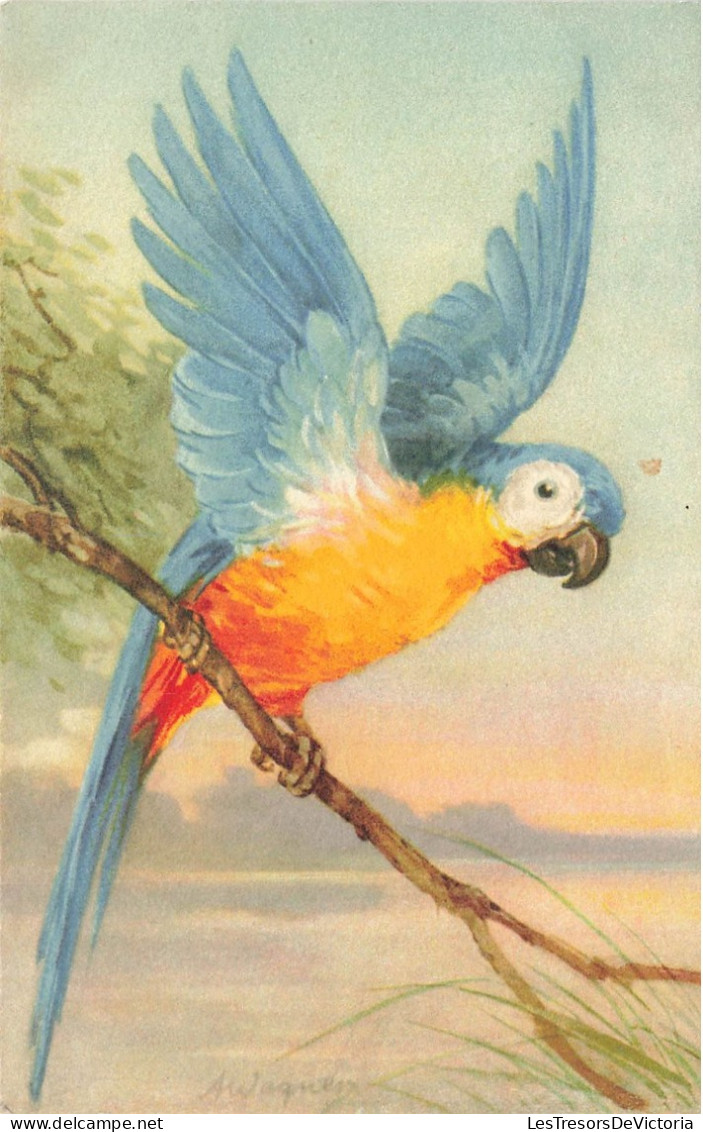 ANIMAUX & FAUNE - Oiseaux - Perroquet Bleu - Carte Postale Ancienne - Oiseaux