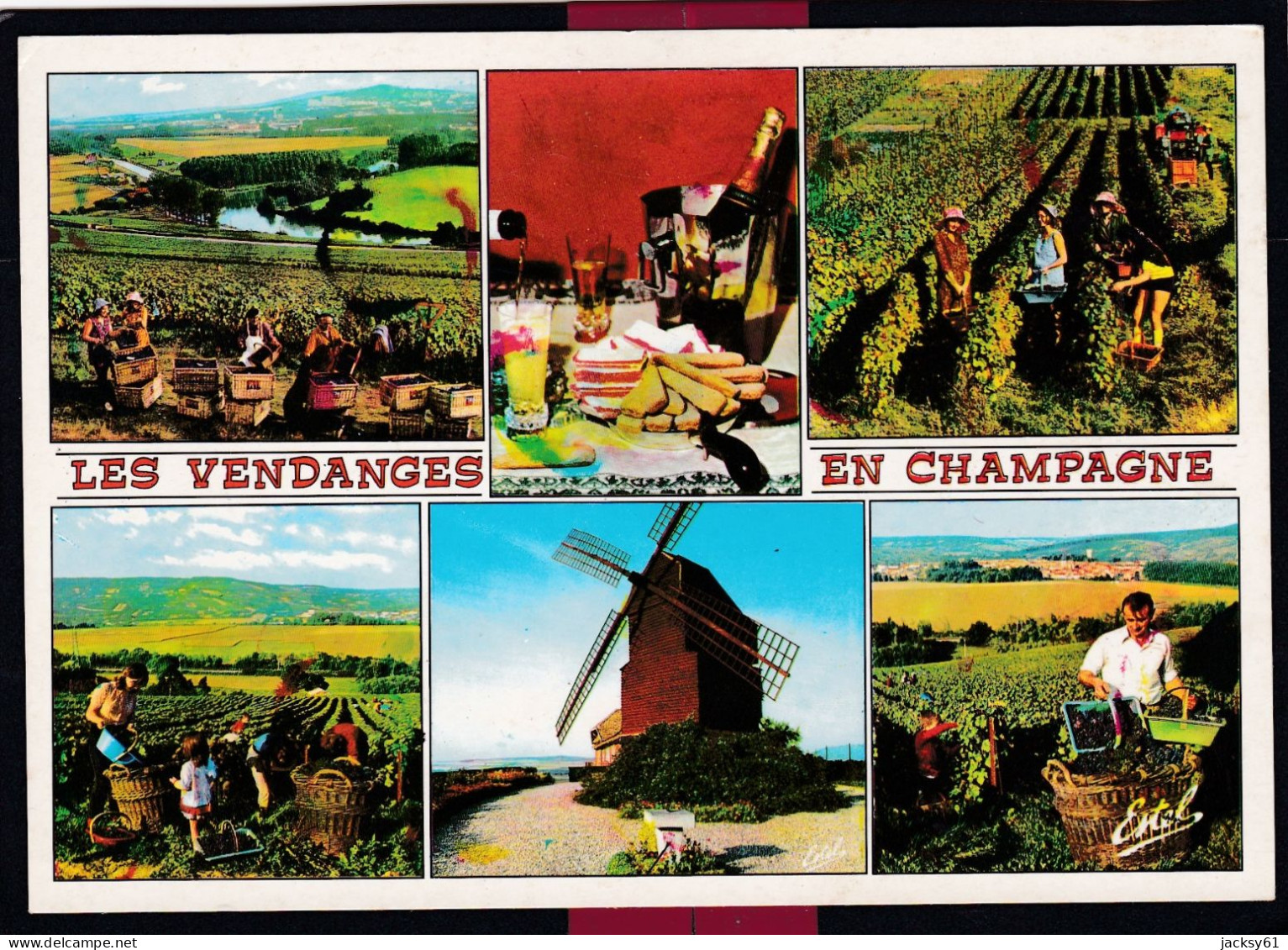 51 - Les Vendanges En Champagne De La Montagne De Reims Que Domine Le Moulin De Verzenay .... - Champagne-Ardenne