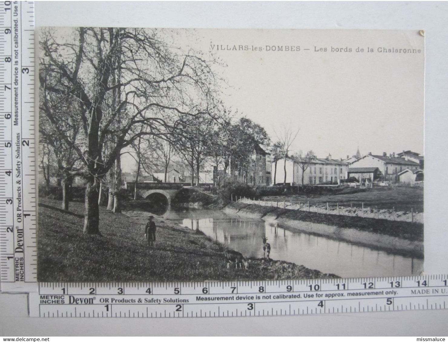 [01] Ain > Villars-les-Dombes Les Bords De La Chalaronne - Villars-les-Dombes