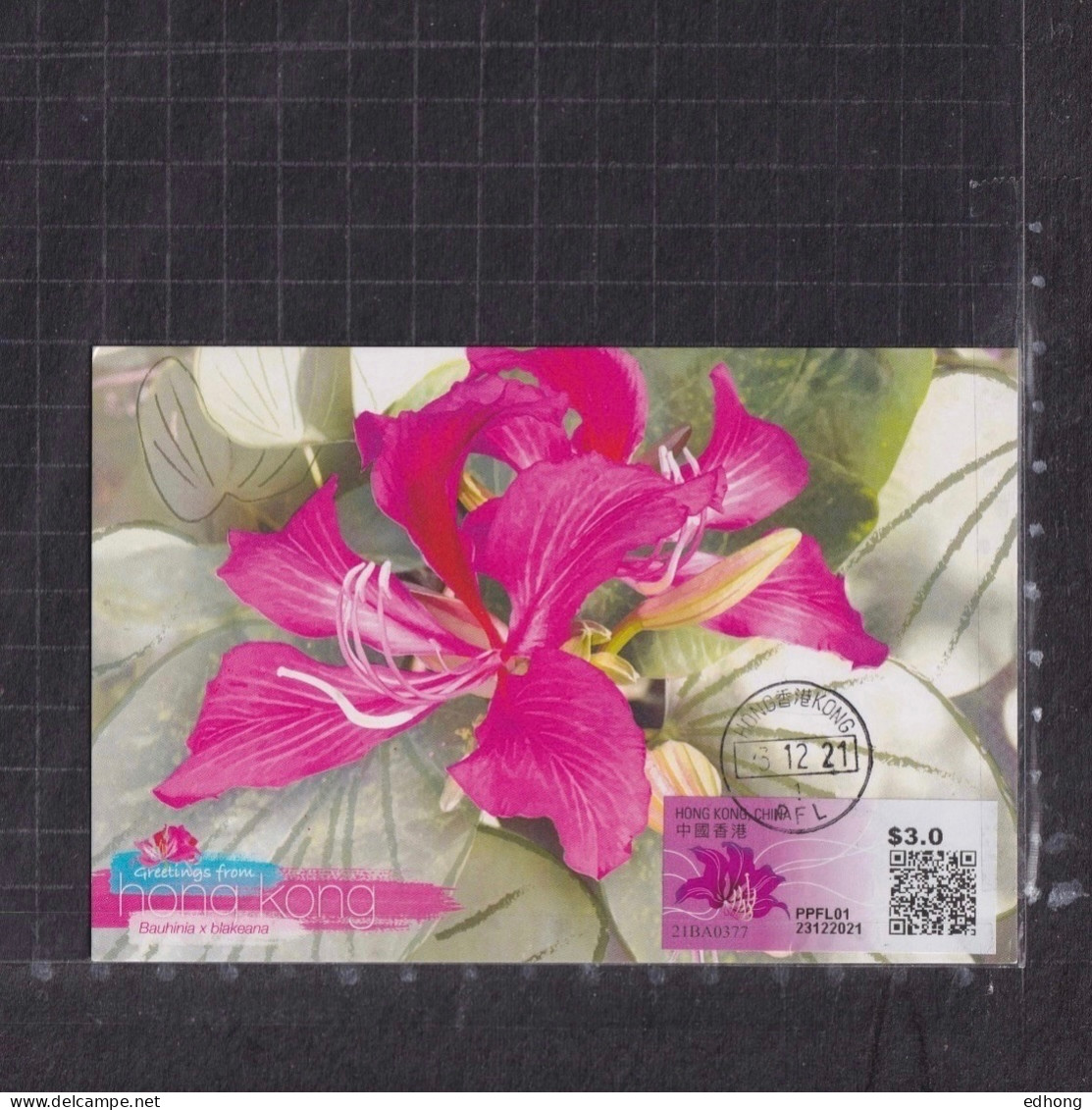 [Carte Maximum / Maximum Card / Maximumkarte] Hong Kong 2021 | Postage Label (PVML) Bauhinia X Blakeana - Cartes-maximum