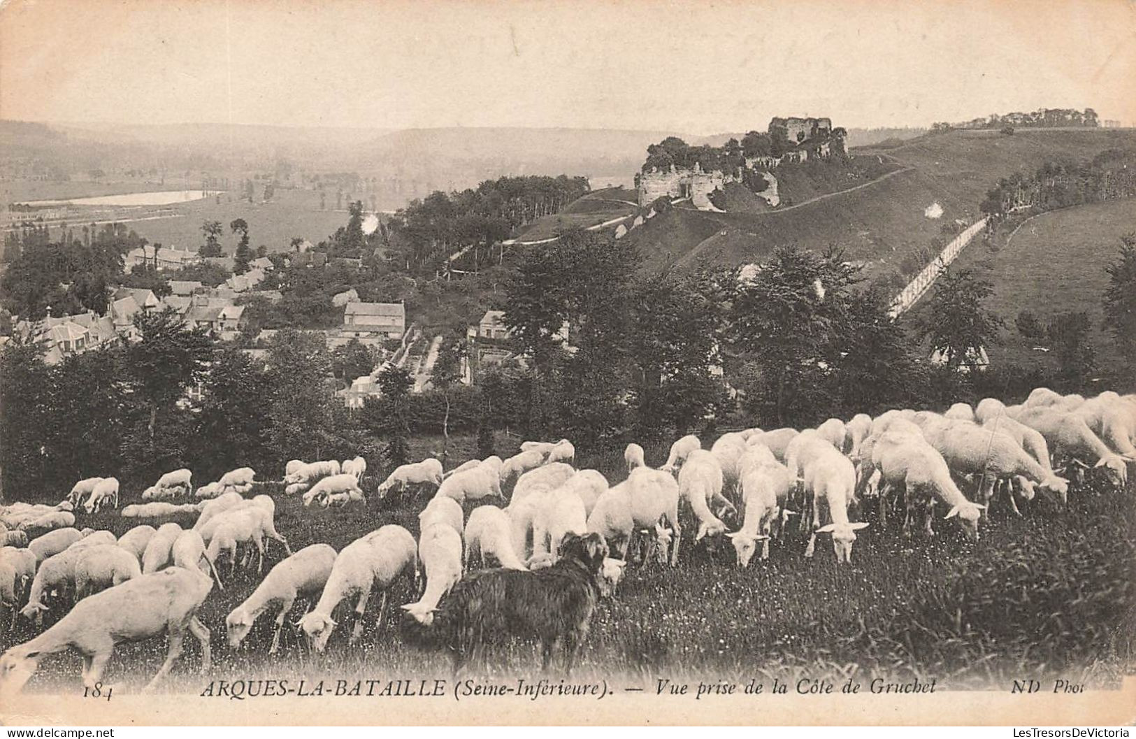 FRANCE - Arques La Bataille - Vue Prise De La Côte De Gruchet - Carte Postale Ancienne - Arques-la-Bataille