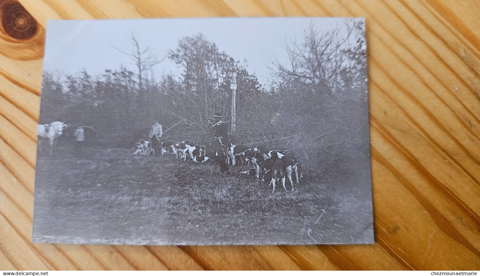 FORET D ORLEANS CHASSE A COURRE - PHOTO 8.5X6 CM - Antiche (ante 1900)