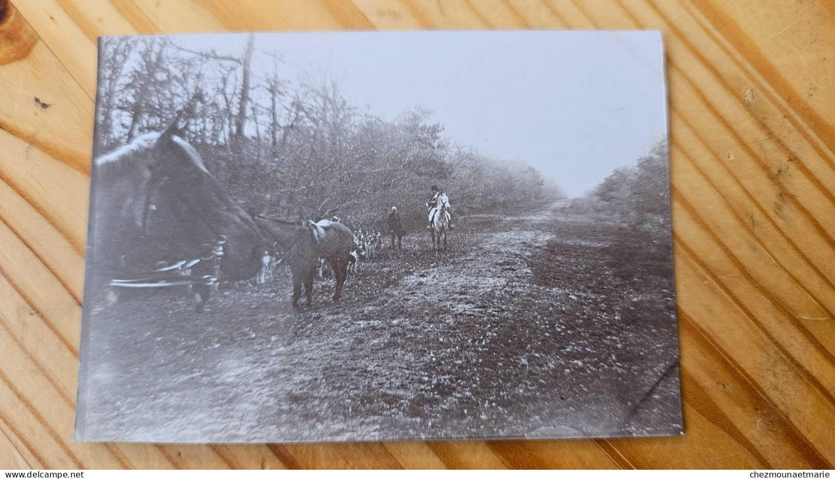 FORET D ORLEANS CHASSE A COURRE - PHOTO 8.5X6 CM - Antiche (ante 1900)