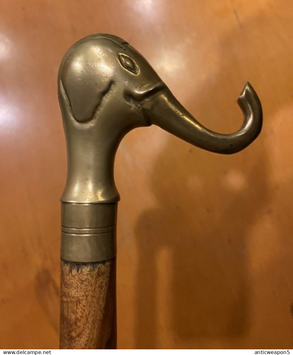 A cane with a pike inside and a heavy brass handle in the shape of an elephant's head. Europe. Around 1940. (H311)