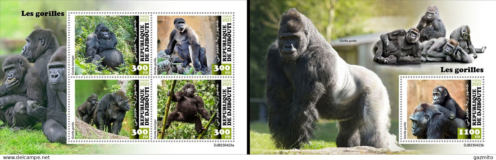 Djibouti 2023, Animals, Gorillas, 4val In BF +BF - Gorilas