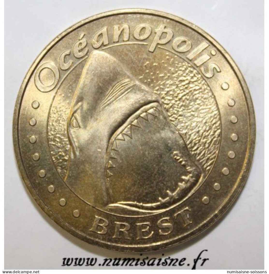 29 - BREST - OCEANOPOLIS - REQUIN BLANC - MDP - 2007 - 2007