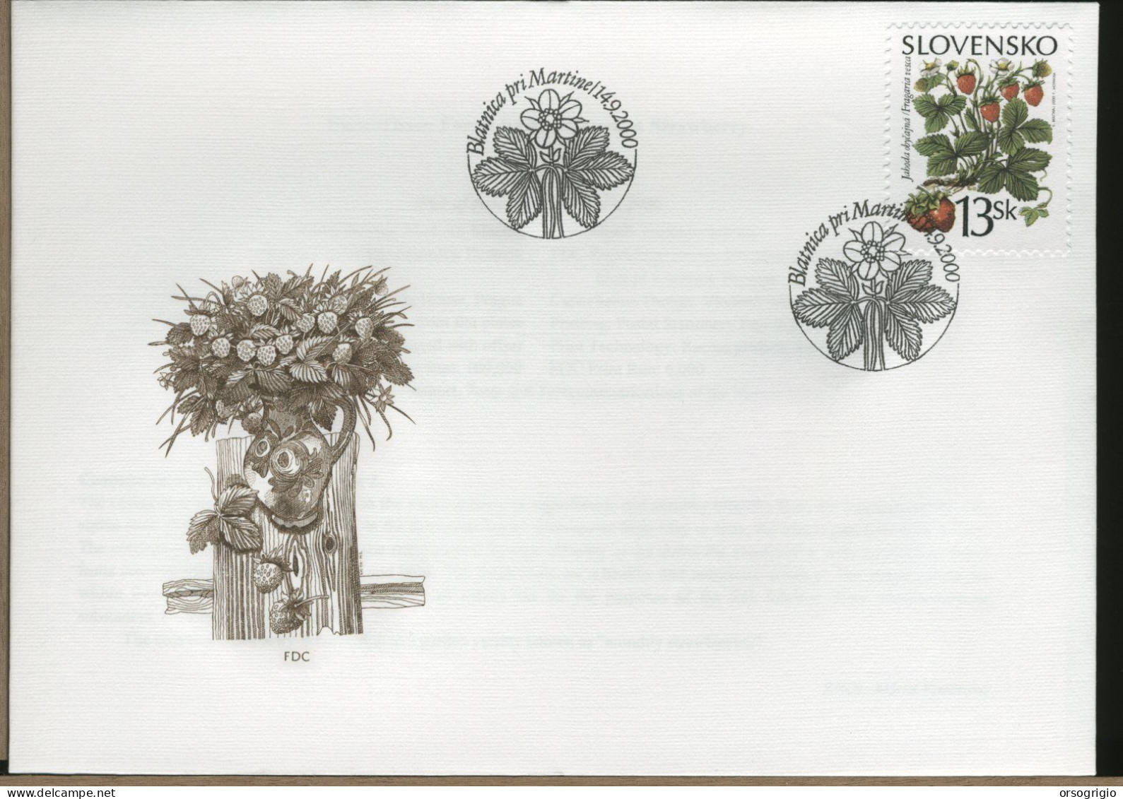 SLOVACCHIA - SLOVENSKO - FDC 2000    BERRY - FDC