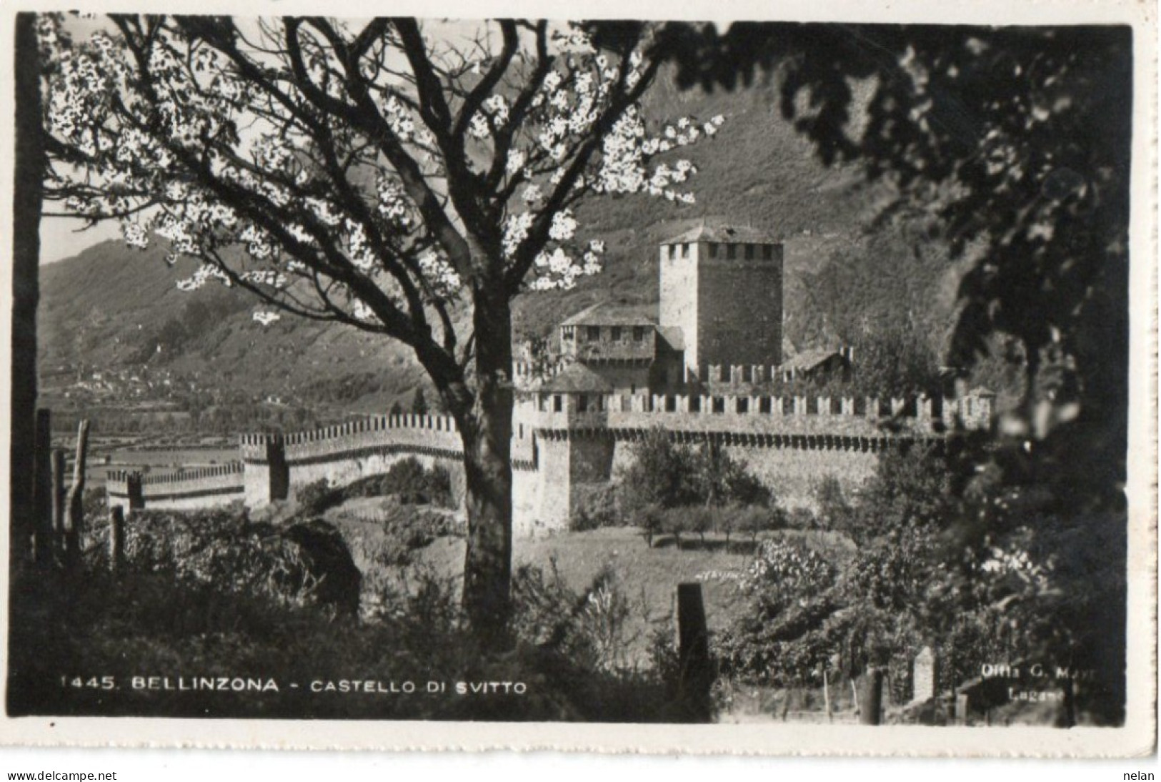 BELLINZONA - CASTELLO DI SVITTO - Bellinzone