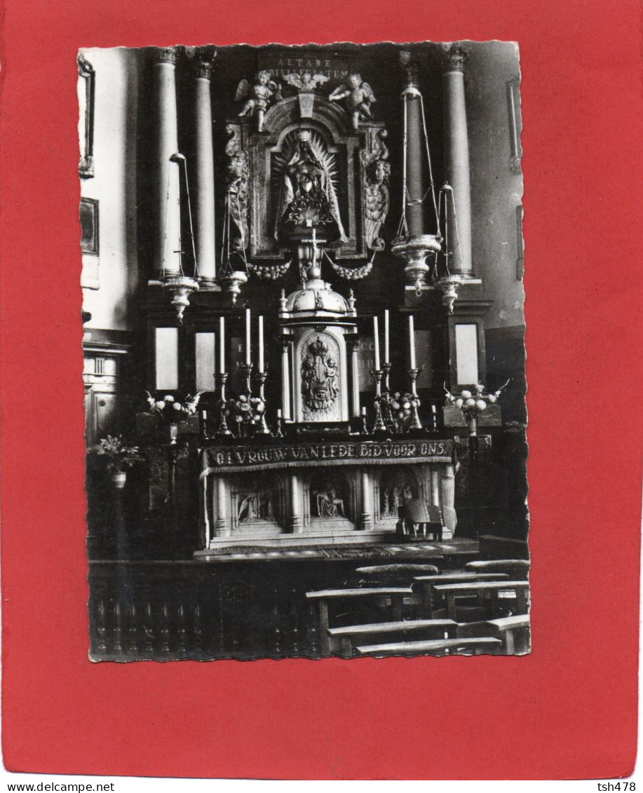 BELGIQUE---LEDE  Sint Martinuskerk--voir 2 Scans - Lede