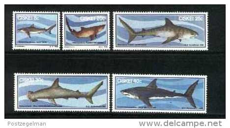 CISKEI, 1983, MNH Stamp(s), Sharks,  Nr(s). 38-42 - Ciskei