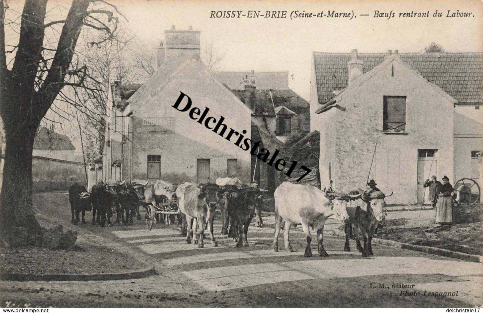 CPA 77 0048 ROISSY-EN-BRIE - Boeufs Rentrant Du Labour - Très Belle Animation Troupeau De Boeufs Attelés - Roissy En Brie