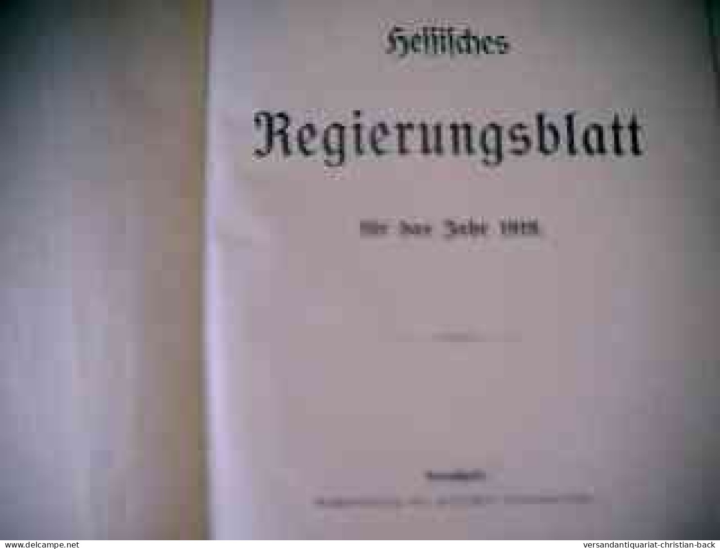 Hessisches Regierungsblatt Für Das Jahr 1919 - Rechten