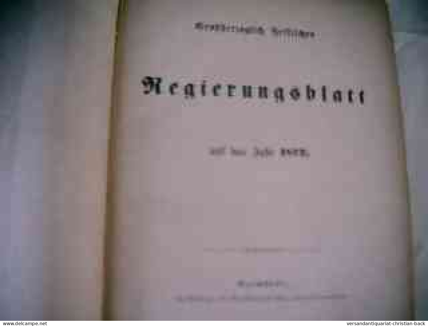 Großherzoglich Hessisches Regierungsblatt Für Das Jahr 1872 - Law