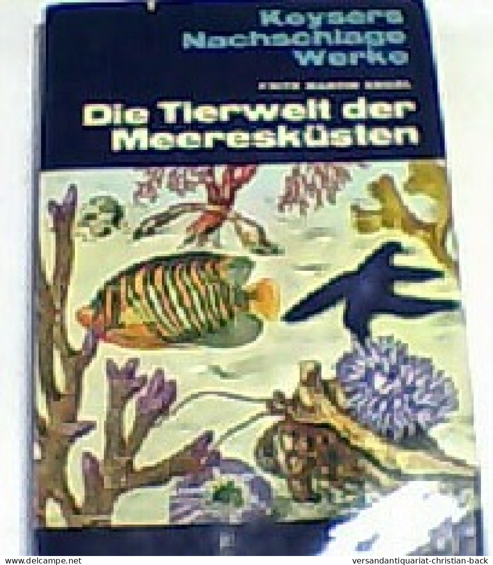 Die Tierwelt Der Meeresküsten : Nach Lebensräumen. - Technique