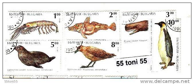 1995 Fauna Antarctica - Fauna 6 V.- Used/oblitere (O)  BULGARIA / Bulgarie - Usados