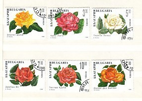 1994 FLOWERS - ROSE 6 V.- Used (O) BULGARIA / Bulgarie - Usati