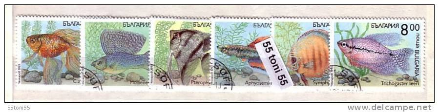 1993 Fauna FISH ( Poissons/ Pesci ) 6 V.- Used/oblitere (O)  BULGARIA / Bulgarie - Gebraucht