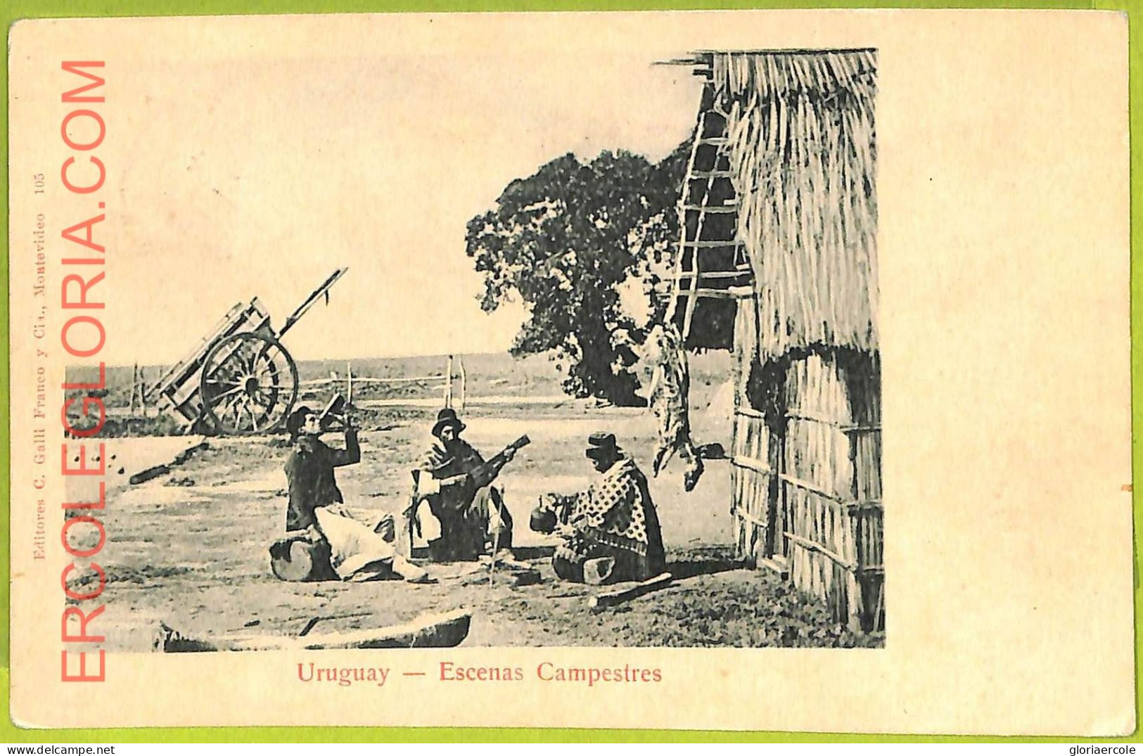 Af2738 - URUGUAY - VINTAGE POSTCARD - Ethnic - 1901 - Uruguay