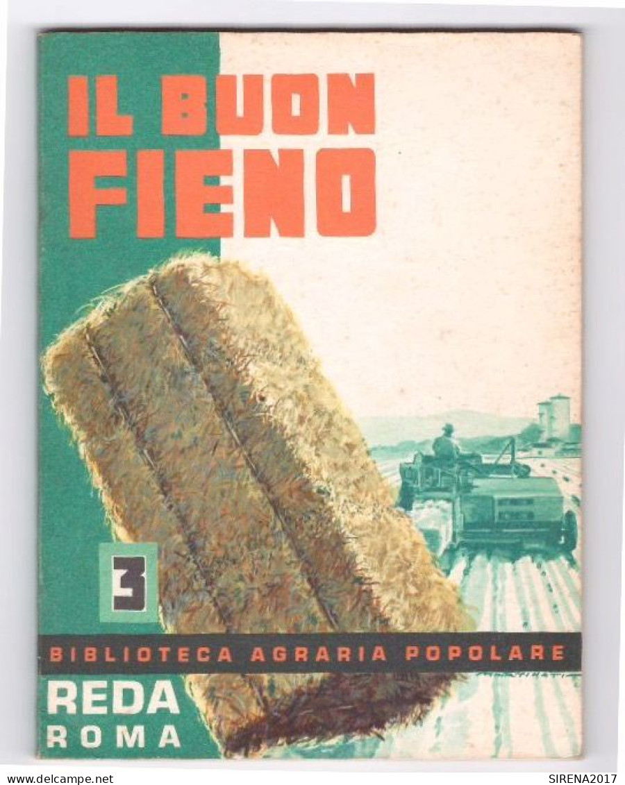IL BUON FIENO - N° 3 - REDA ROMA 1968 - Te Identificeren